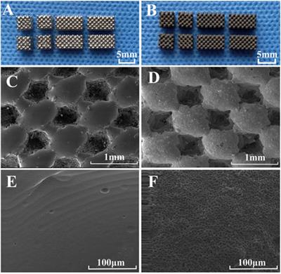 Effects of hydroxyapatite-coated porous titanium scaffolds functionalized by exosomes on the regeneration and repair of irregular bone